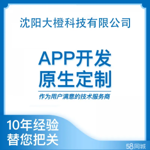 APP开发